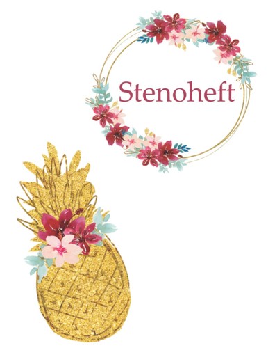 Stenoheft übungsheft zum - Übungsheft,